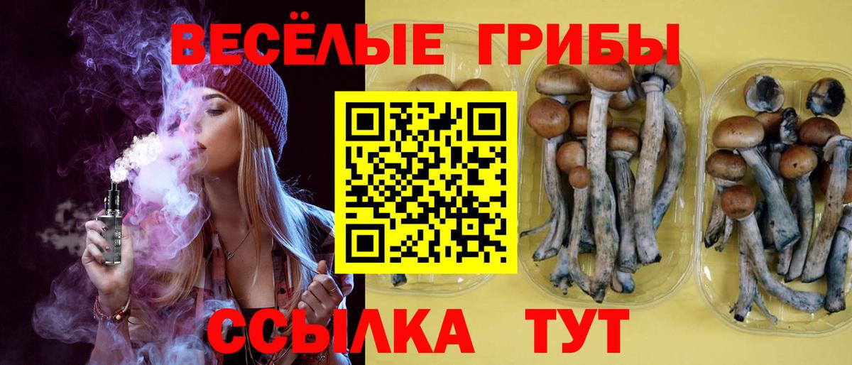 Псилоцибиновые грибы Psilocybe Кыштым