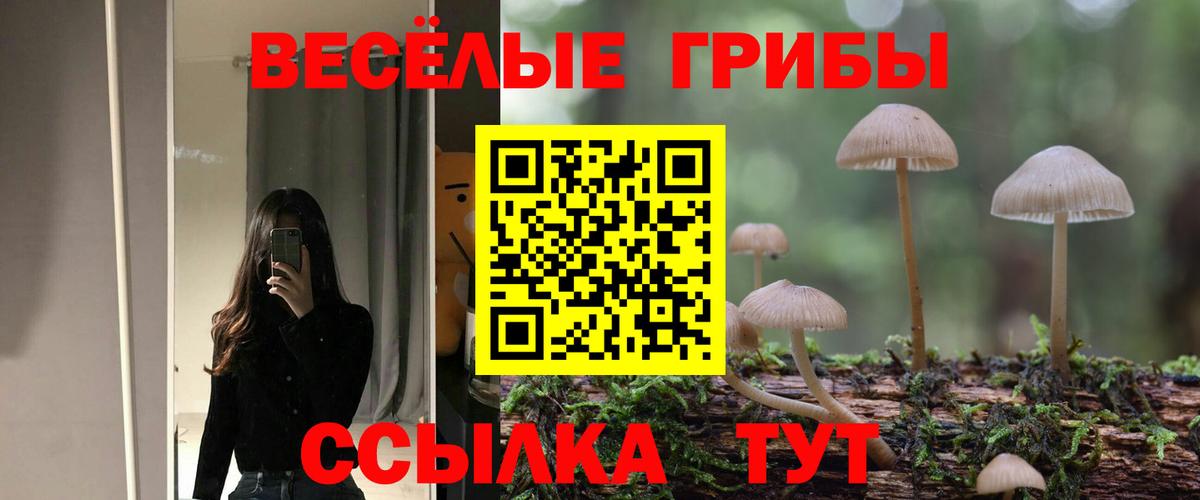 дарнет шоп  Псилоцибиновые грибы Magic Shrooms  Псилоцибиновые грибы мухоморы  Вход с VPN  Кыштым 